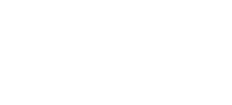 logo-shine.png